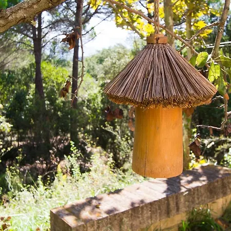 וילה Catalunya Casas: Spacious Vera Up To 24 Guests, A Short Drive To Blanes! *